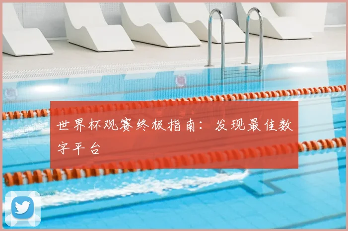 世界杯观赛终极指南：发现最佳数字平台